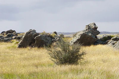 dry field rocks 082 — Скачать