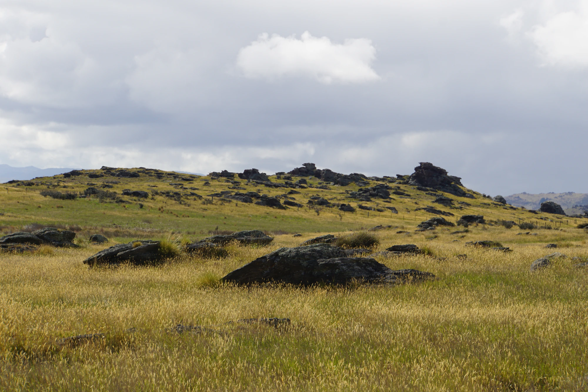 dry field rocks 084 — Descargar