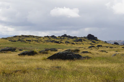 dry field rocks 084 — Descargar