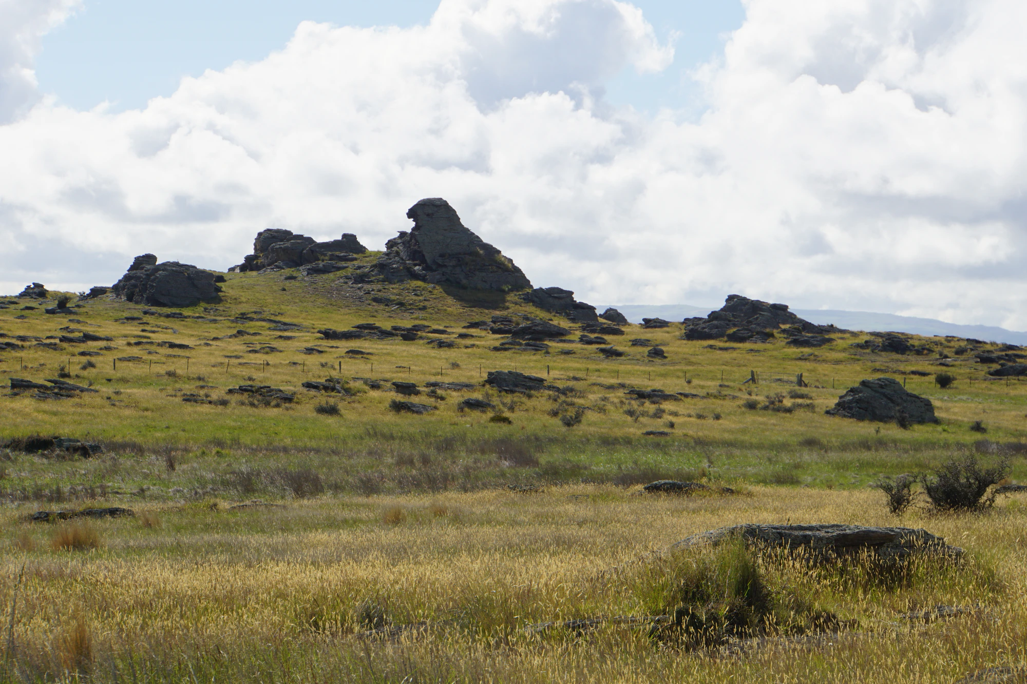 dry field rocks 085 — Descargar
