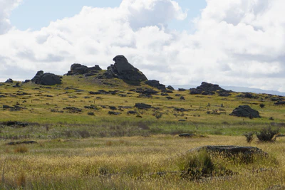 dry field rocks 085 — Descargar