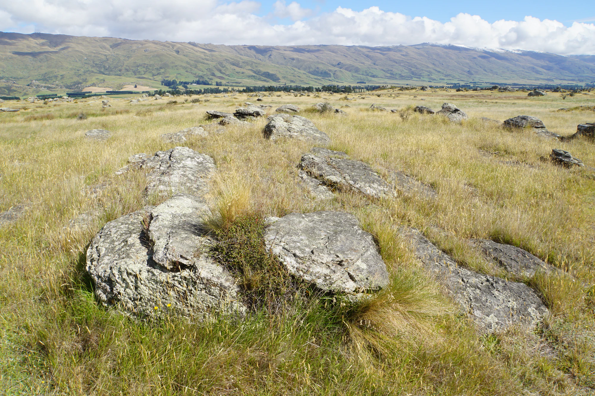 dry field rocks 086 — Descargar