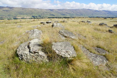 dry field rocks 086 — Descargar
