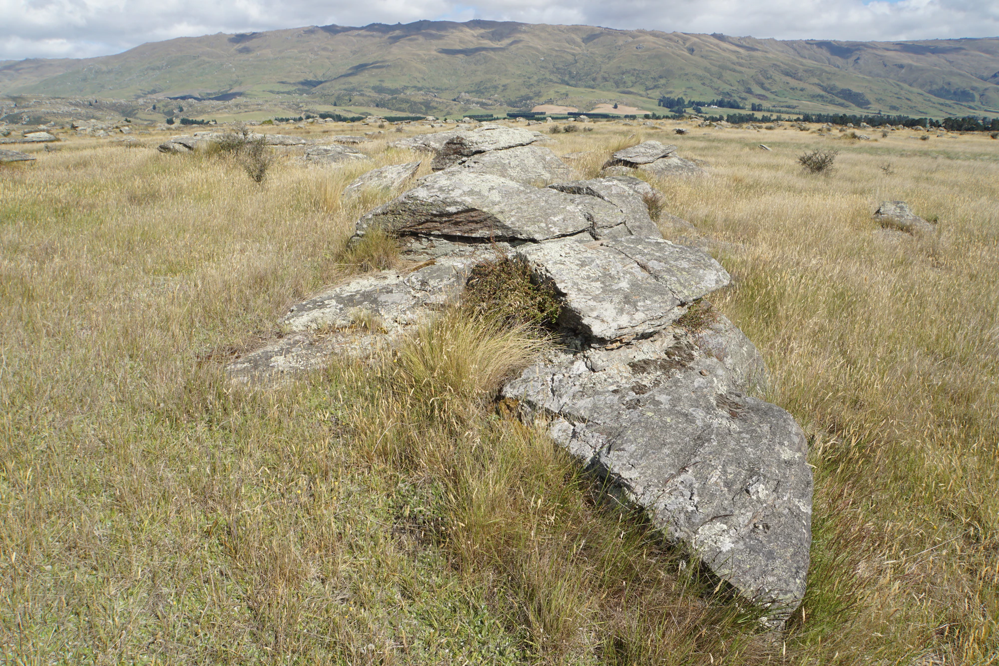 dry field rocks 087 — Скачать