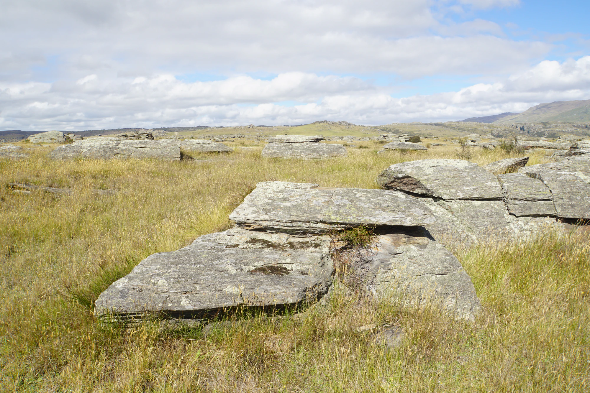 dry field rocks 088 — Download