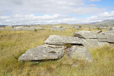 dry field rocks 088 — Download