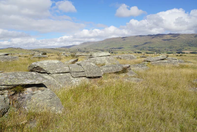 dry field rocks 089 — Скачать