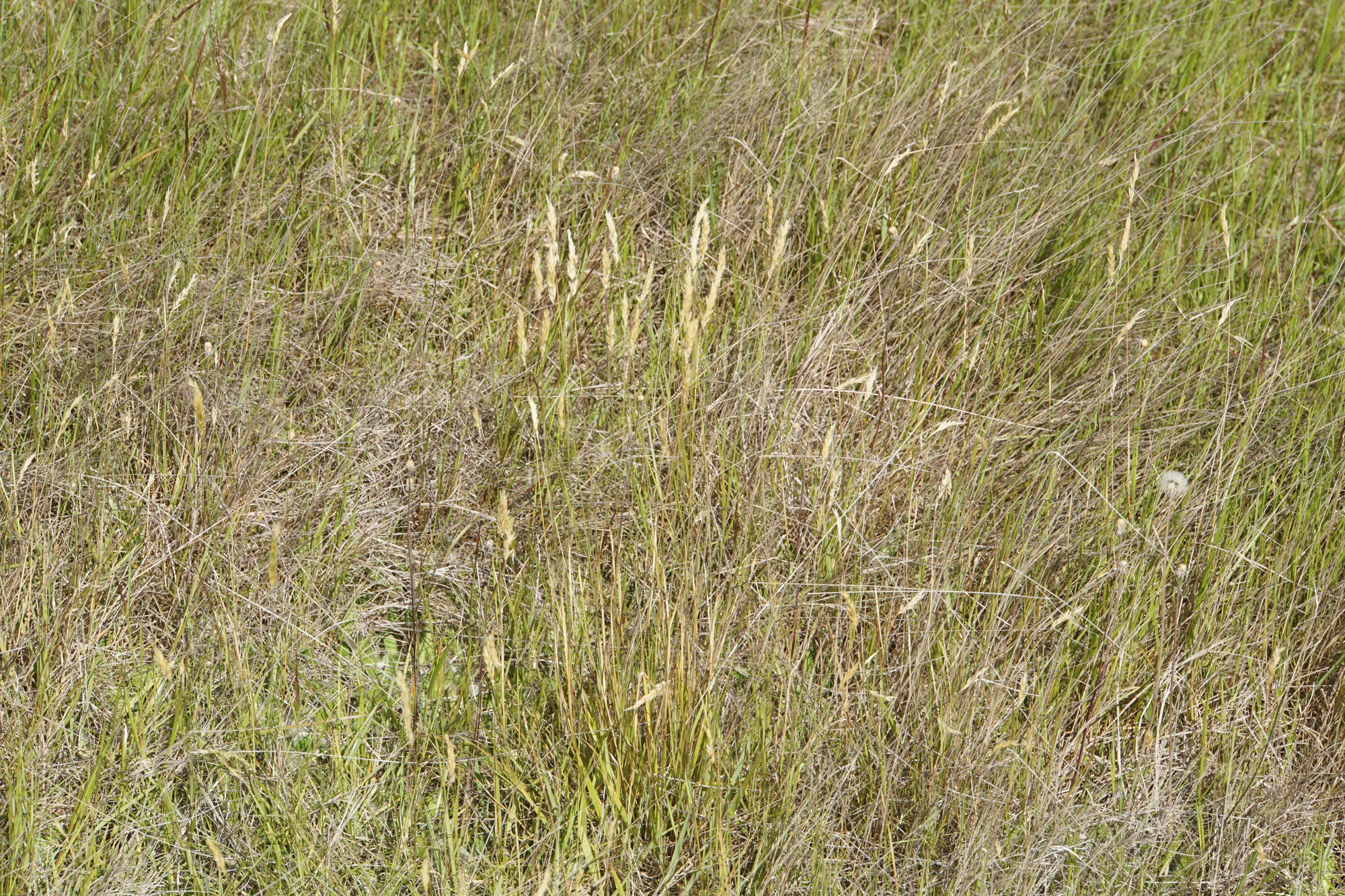 dry field rocks 091 — Скачать