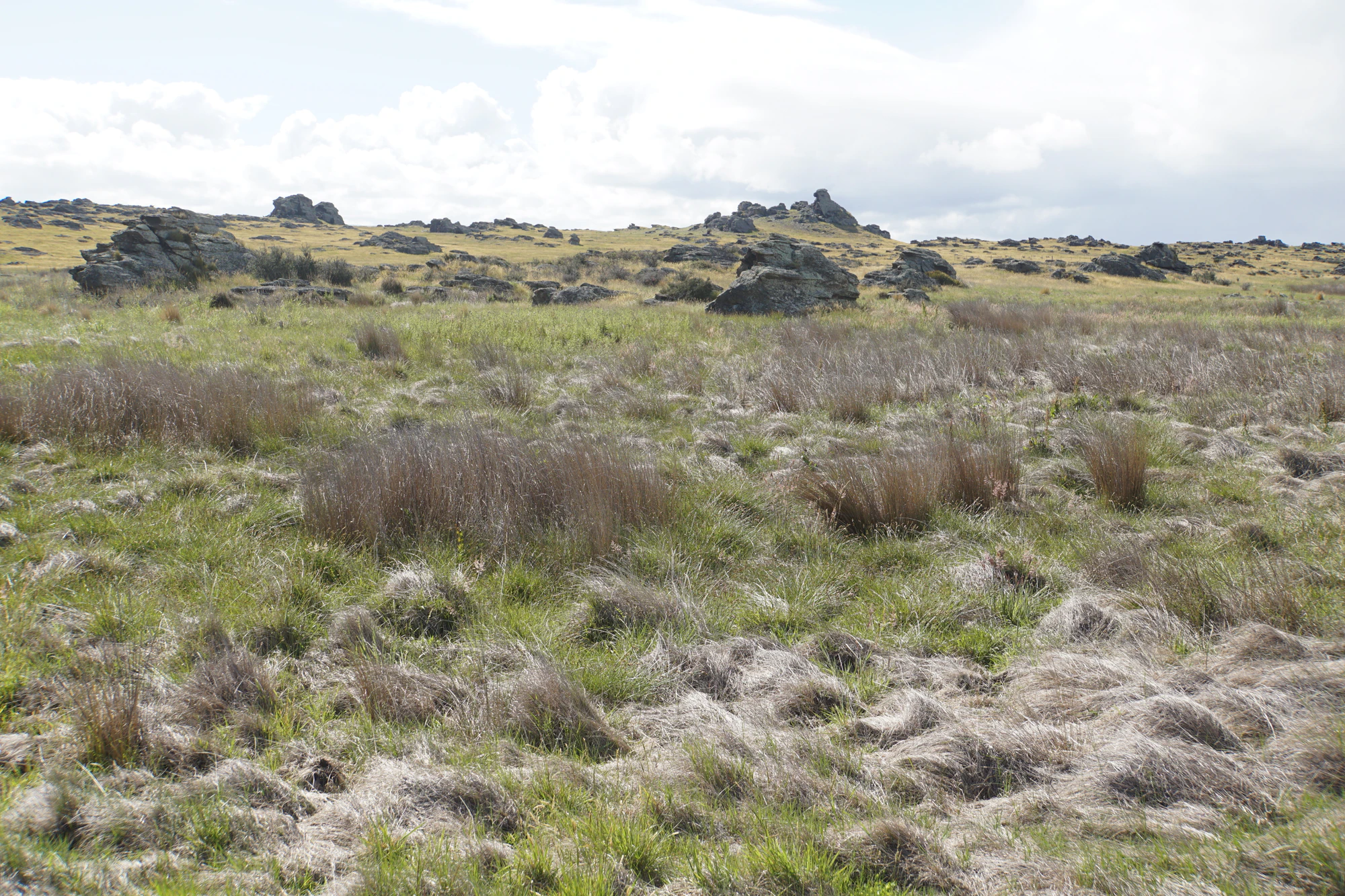 dry field rocks 097 — Descargar