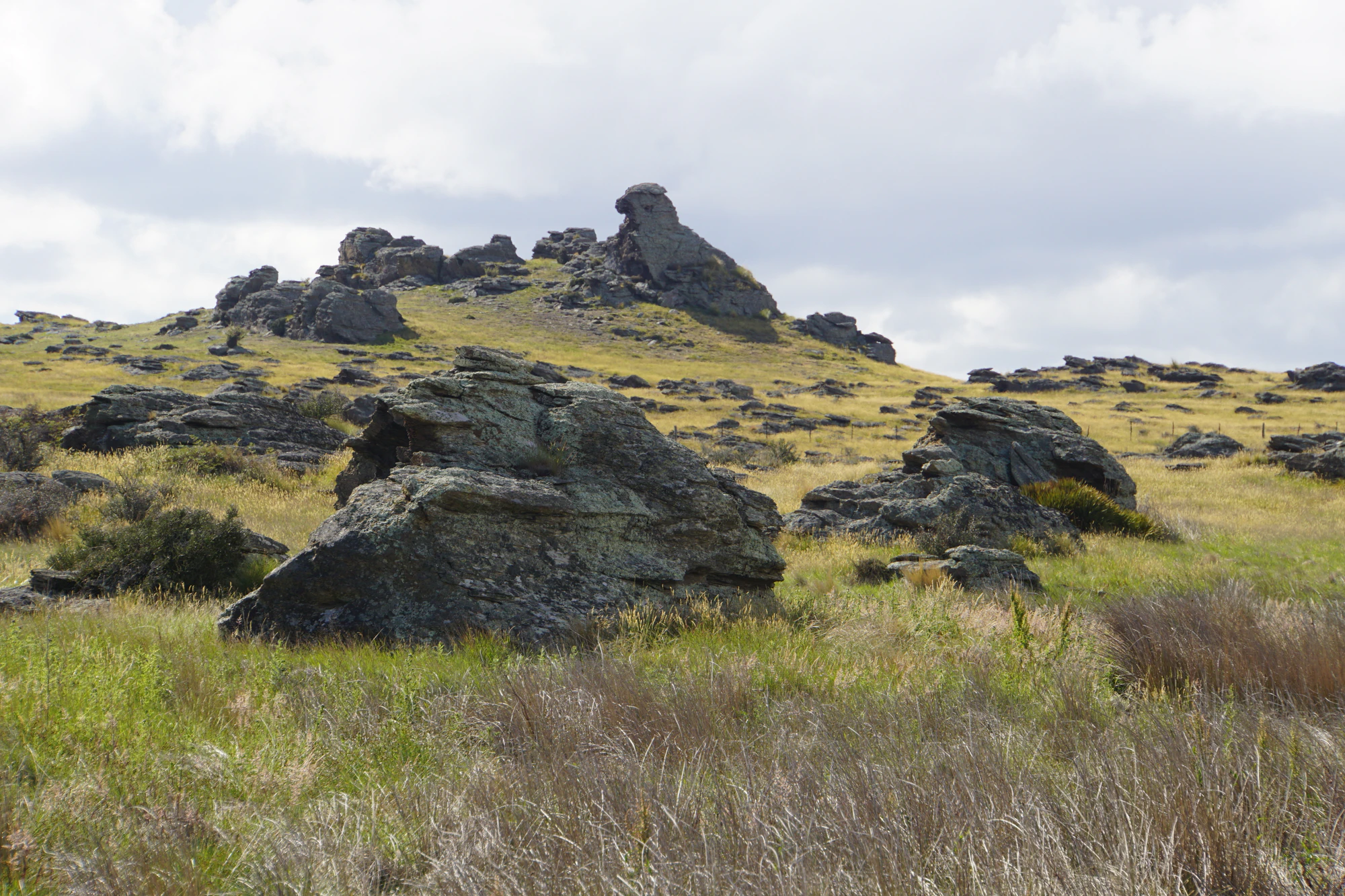 dry field rocks 098 — Скачать