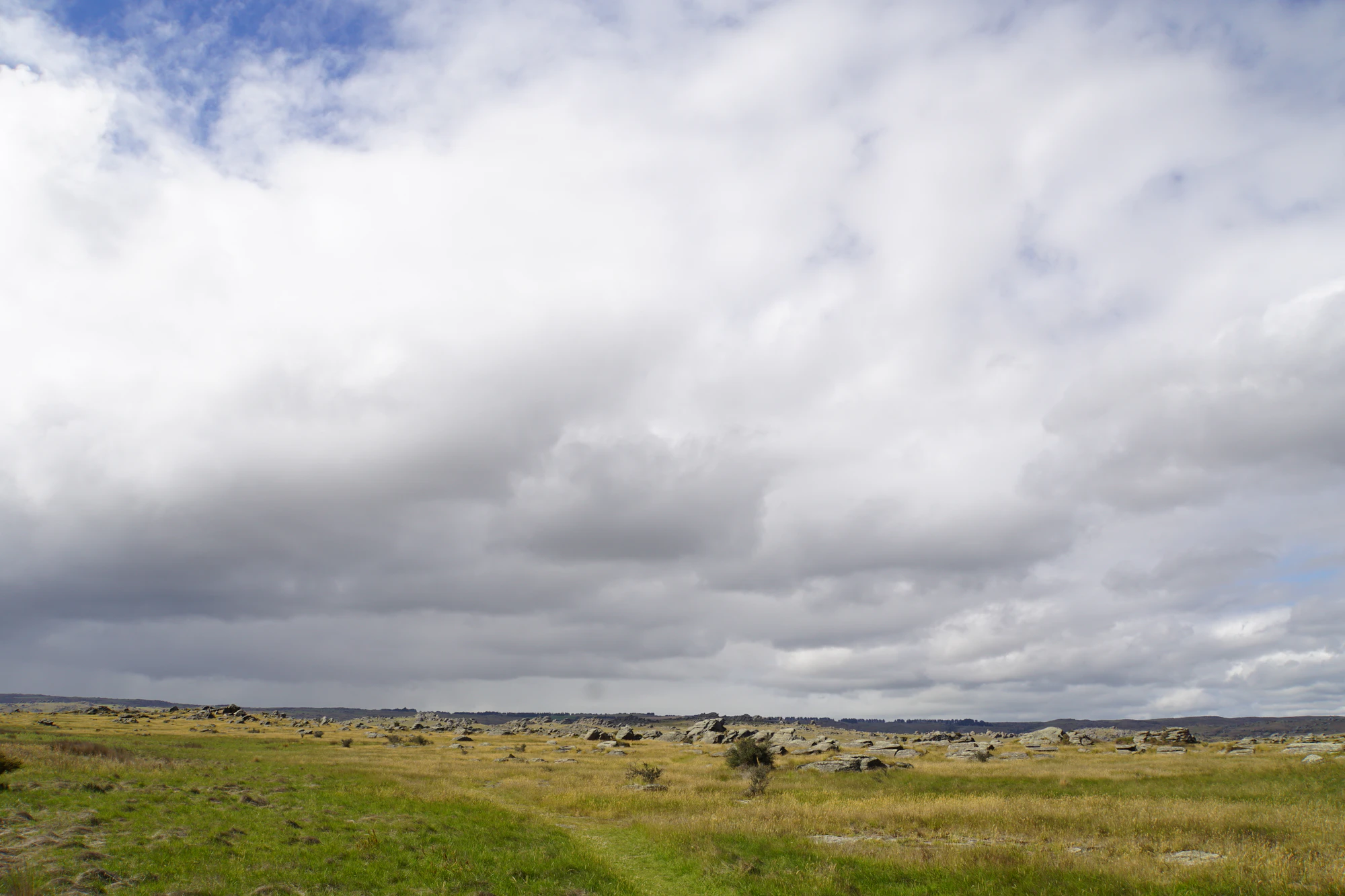 dry field rocks 099 — Скачать
