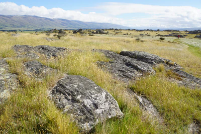 dry field rocks 105 — Descargar