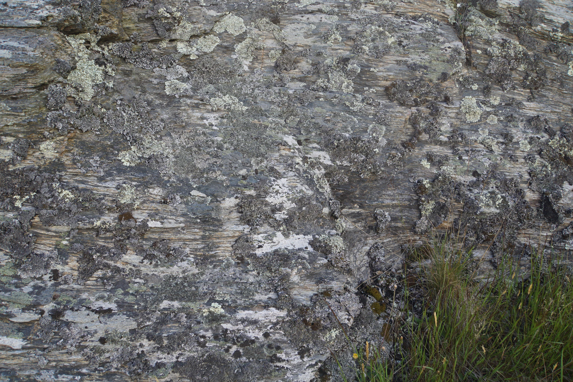 dry field rocks 109 — Descargar