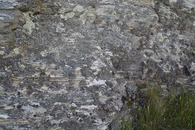 dry field rocks 109 — Descargar