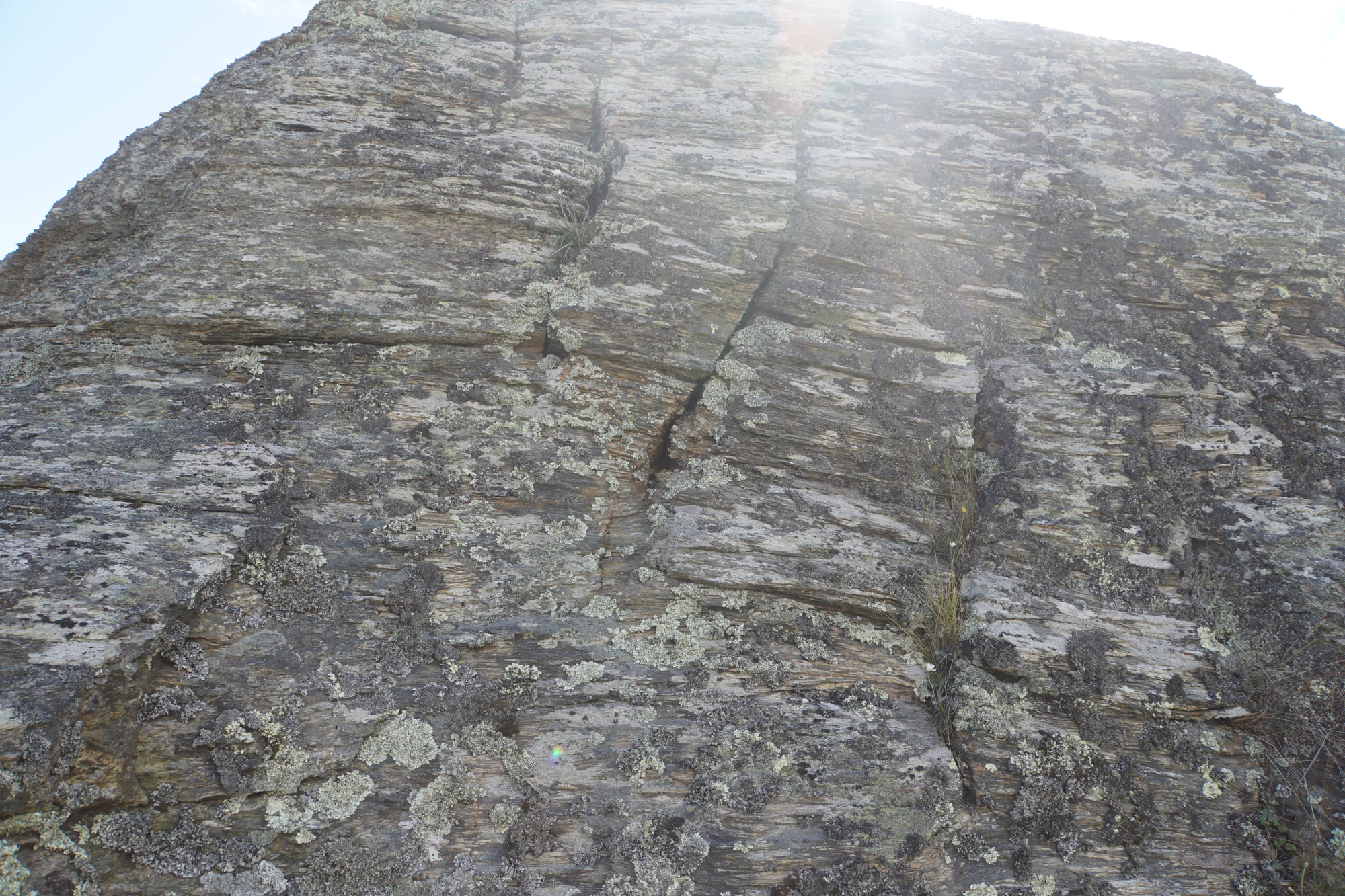 dry field rocks 110 — Descargar