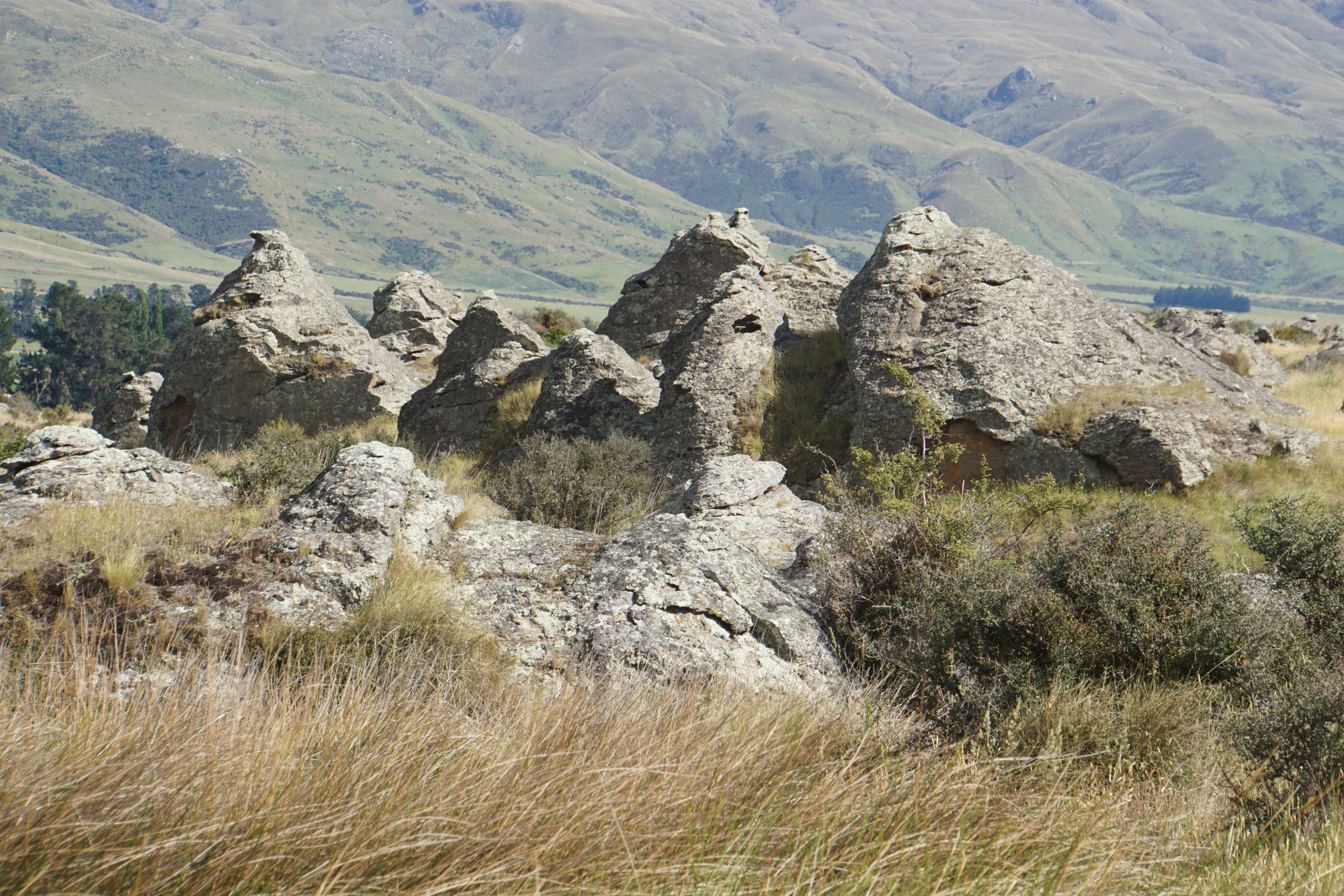 dry field rocks 114 — Скачать
