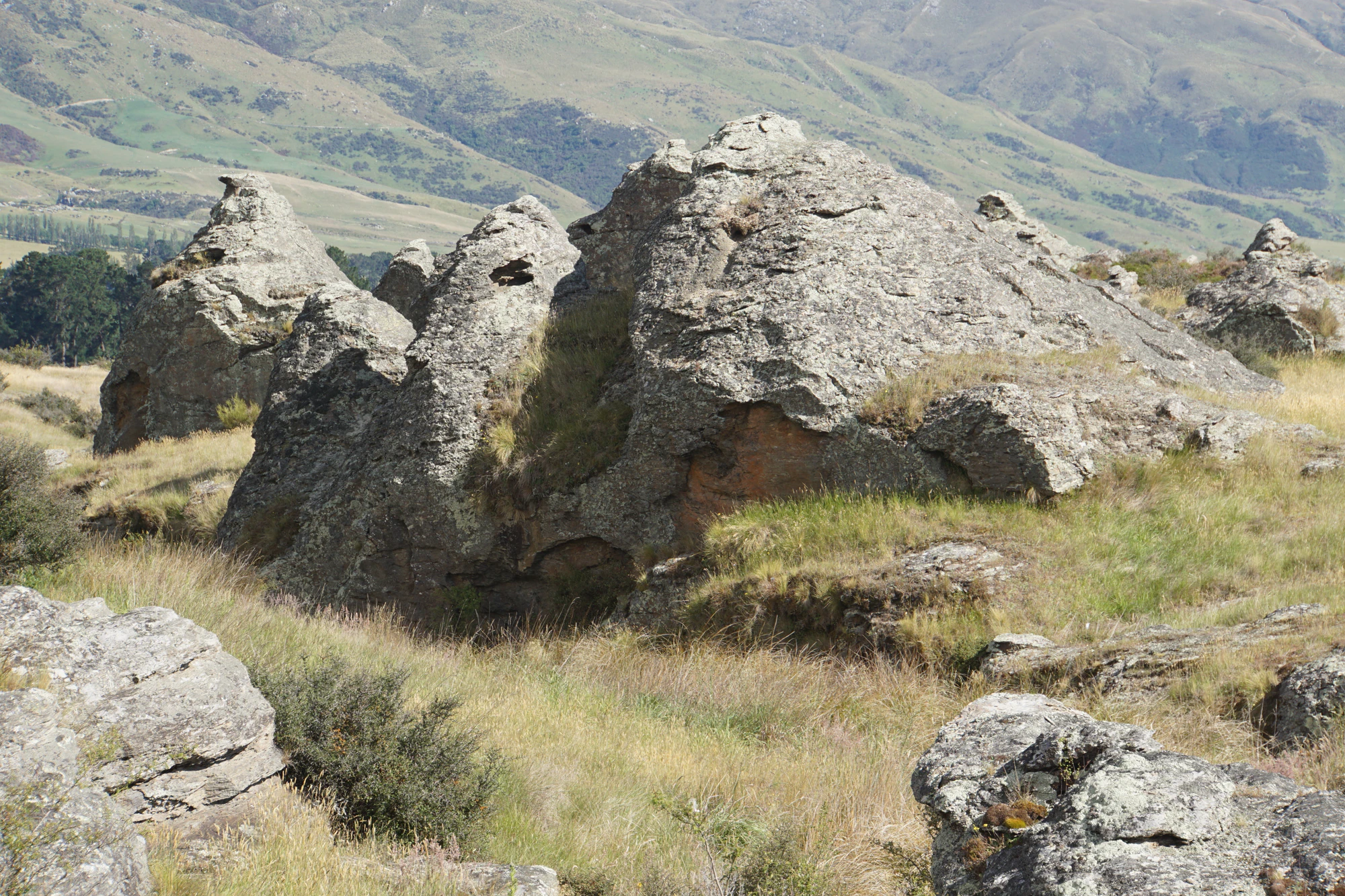 dry field rocks 117 — Скачать