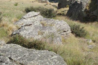 dry field rocks 119 — Descargar