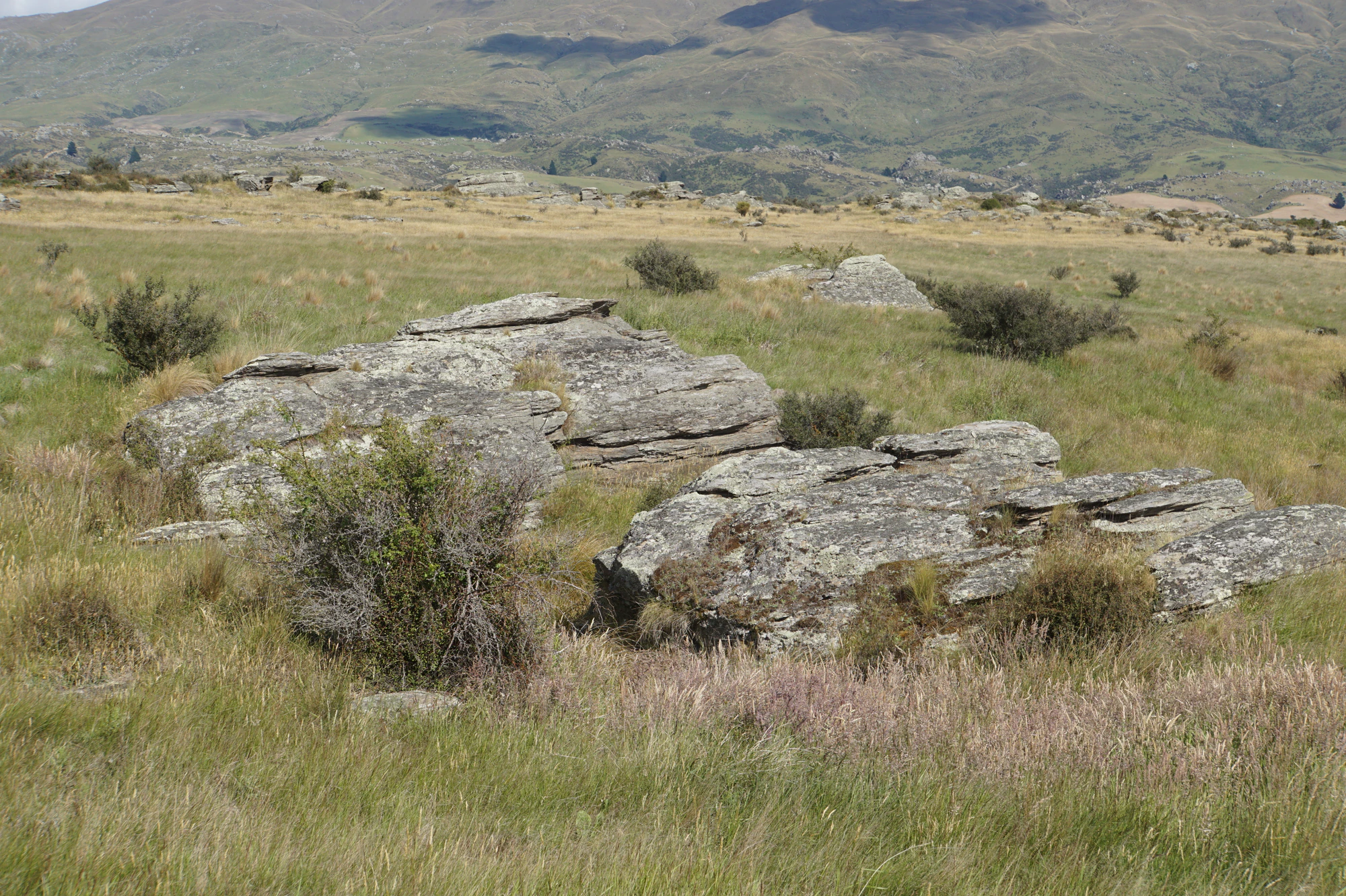 dry field rocks 121 — Descargar