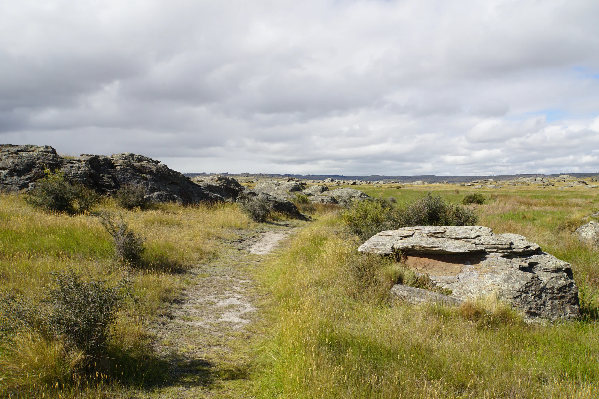 dry field rocks 122 — Descargar