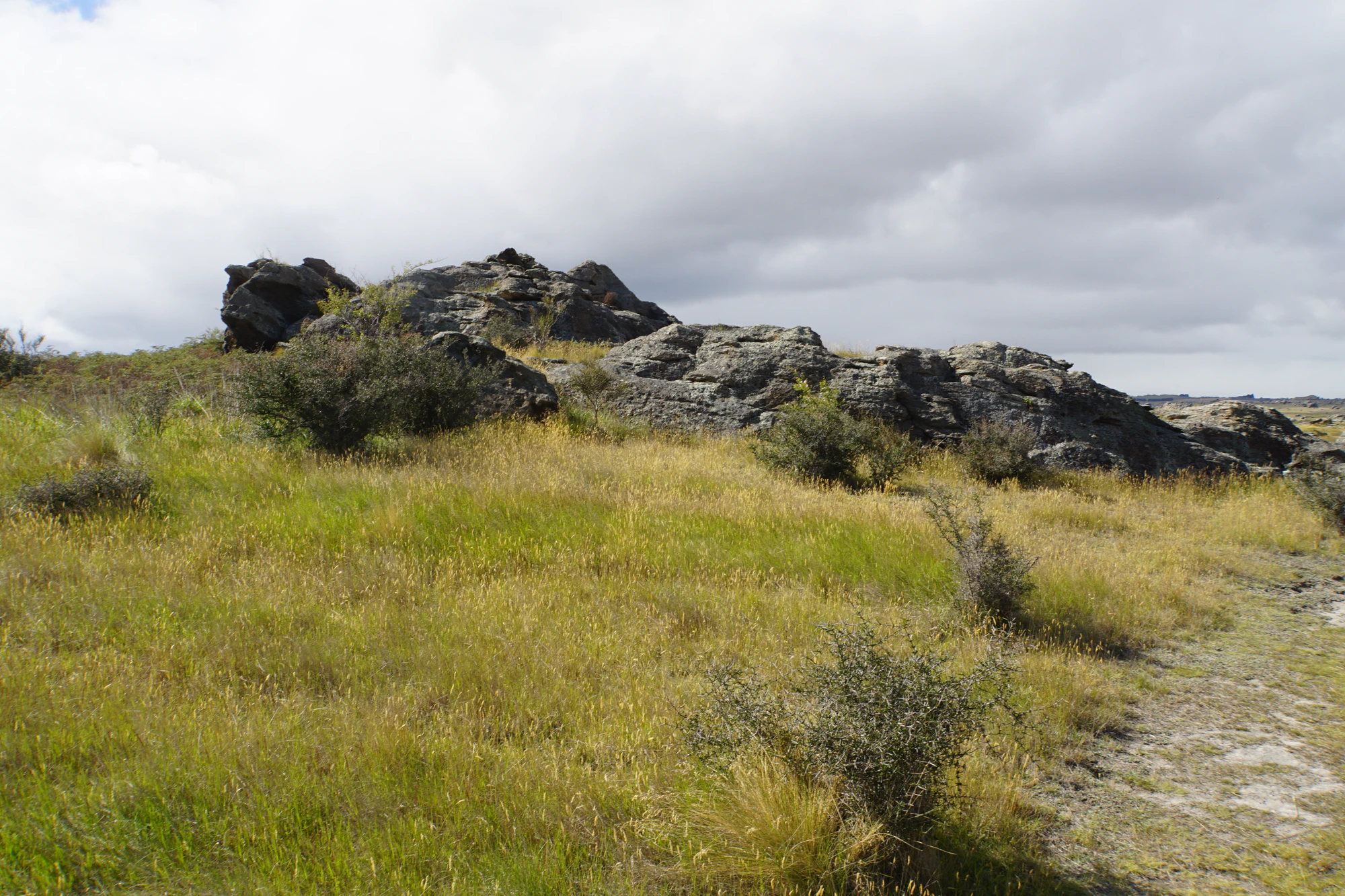 dry field rocks 123 — Скачать