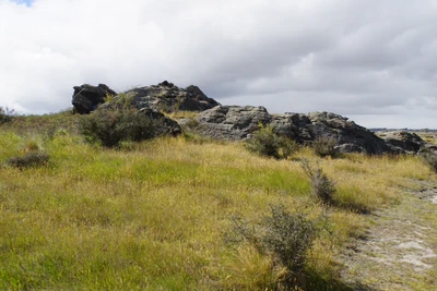 dry field rocks 123 — Скачать