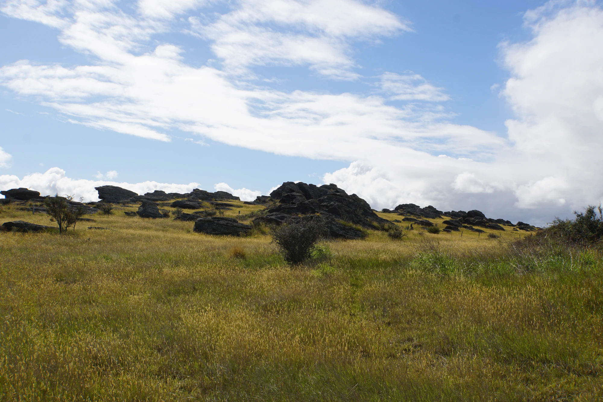 dry field rocks 124 — Descargar
