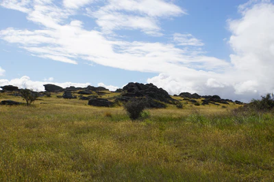 dry field rocks 124 — Descargar