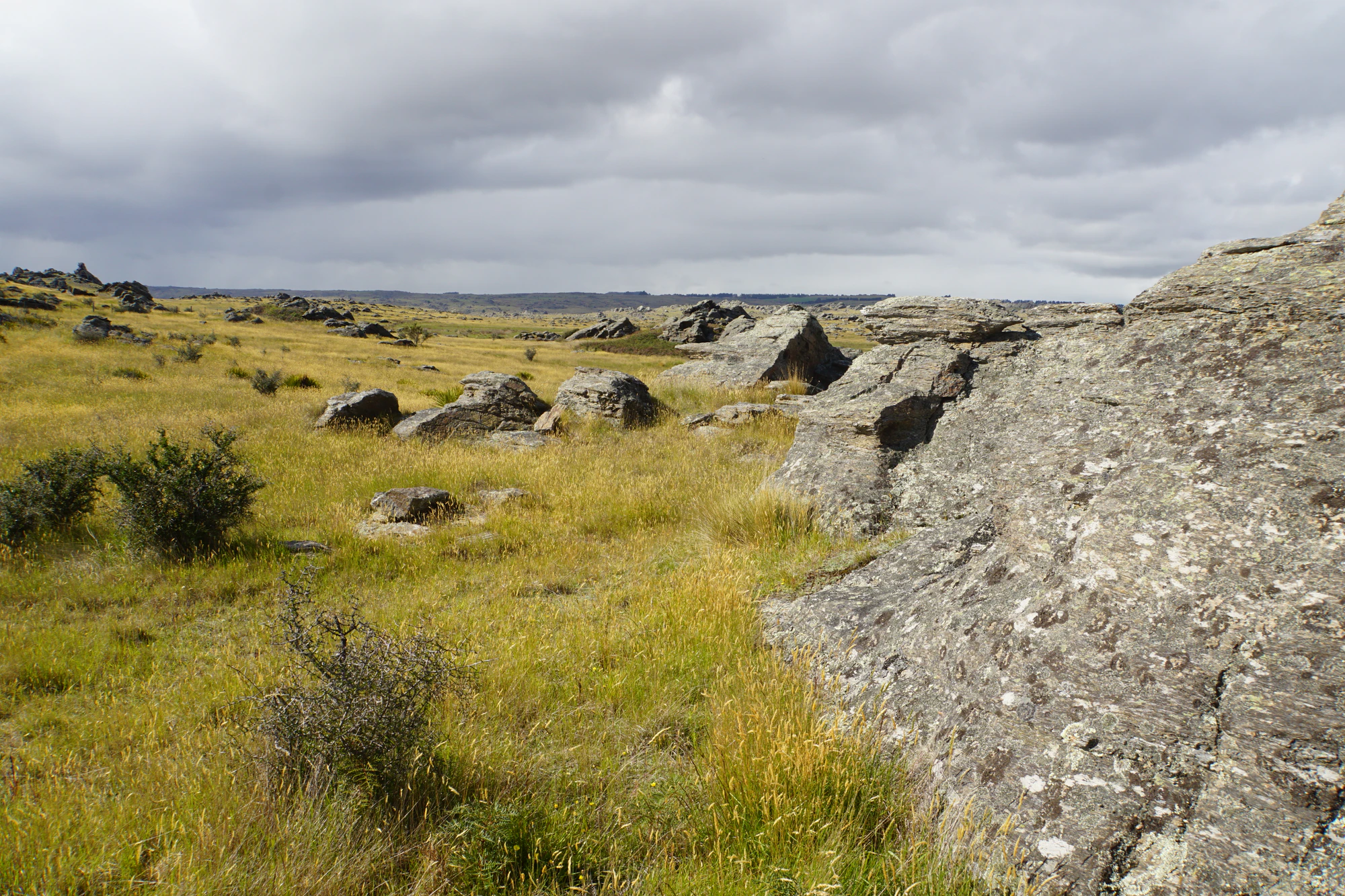 dry field rocks 126 — Descargar