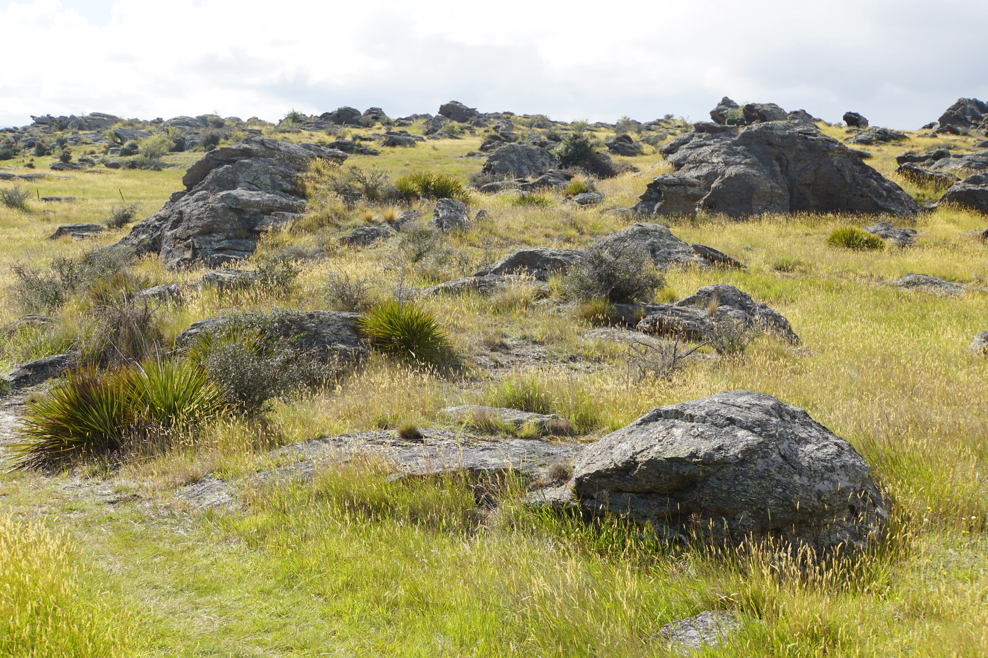 dry field rocks 127 — Descargar