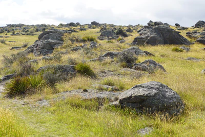 dry field rocks 127 — Descargar