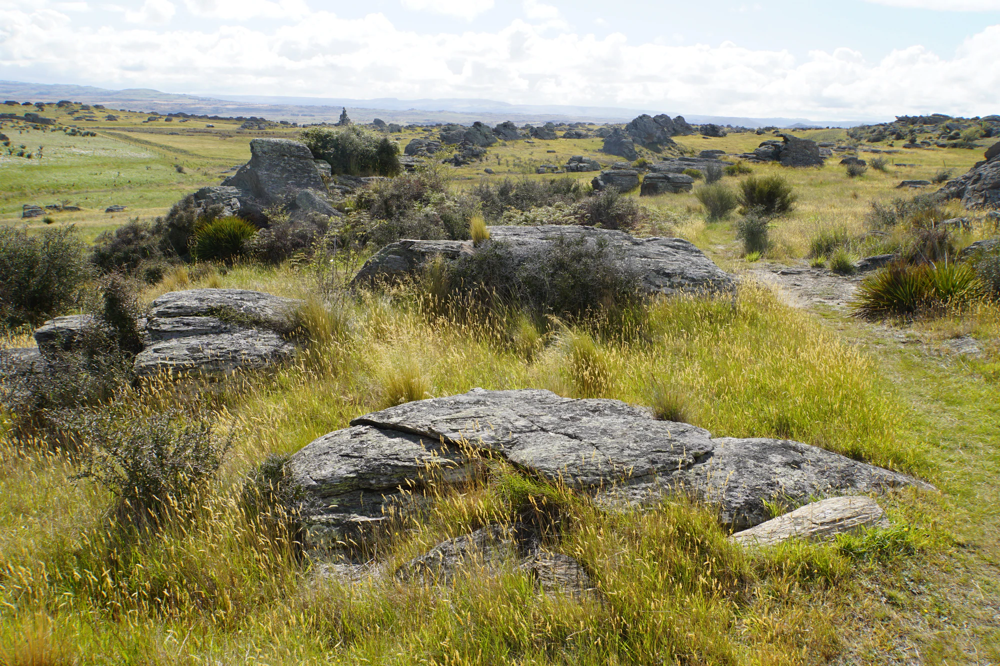 dry field rocks 128 — Descargar