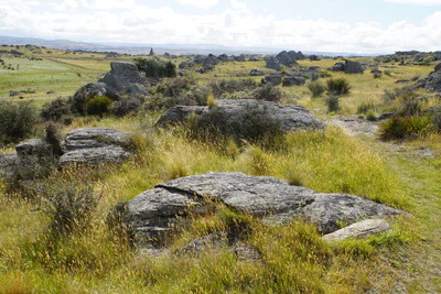 dry field rocks 128 — Descargar