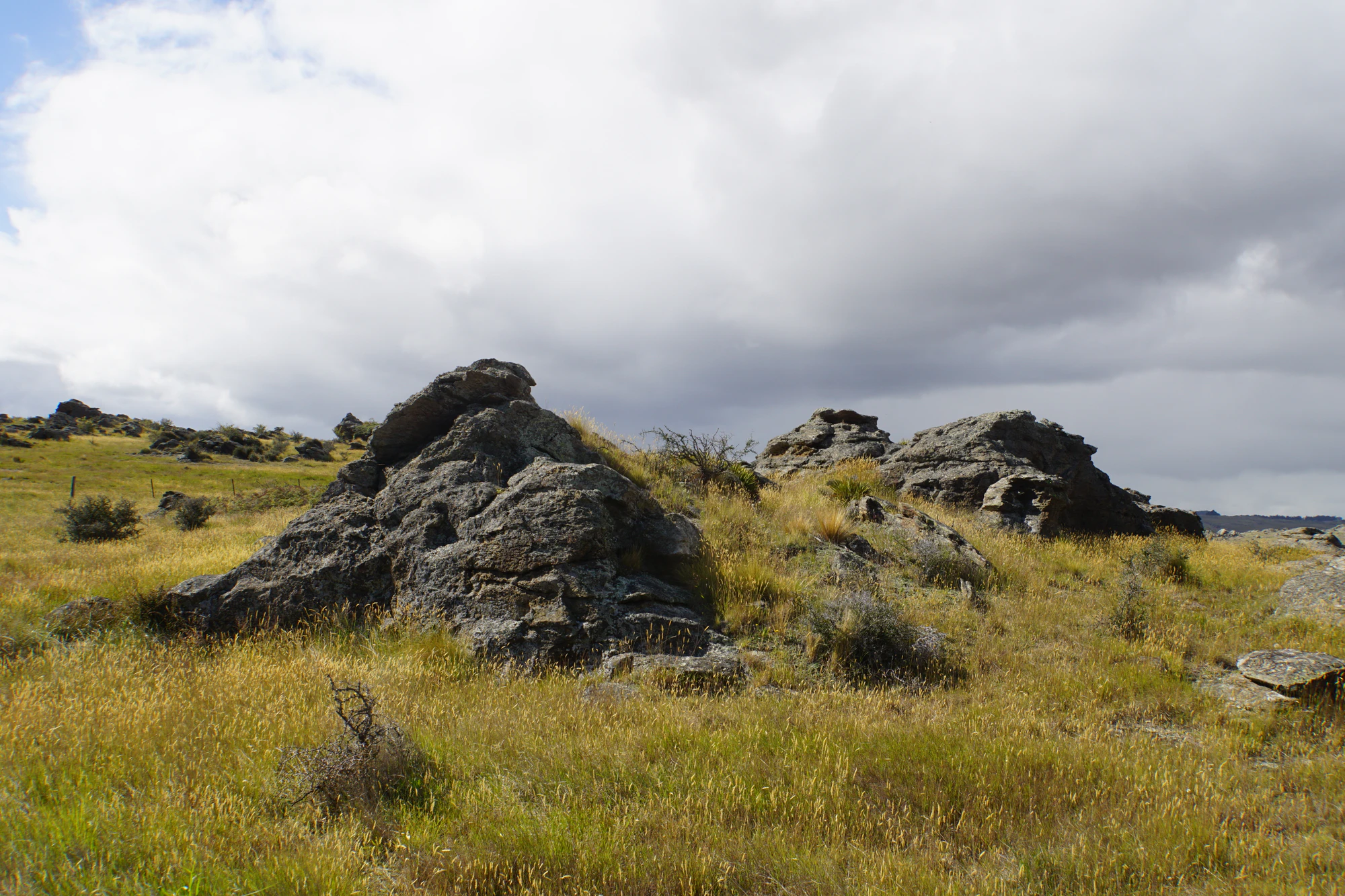 dry field rocks 132 — Скачать