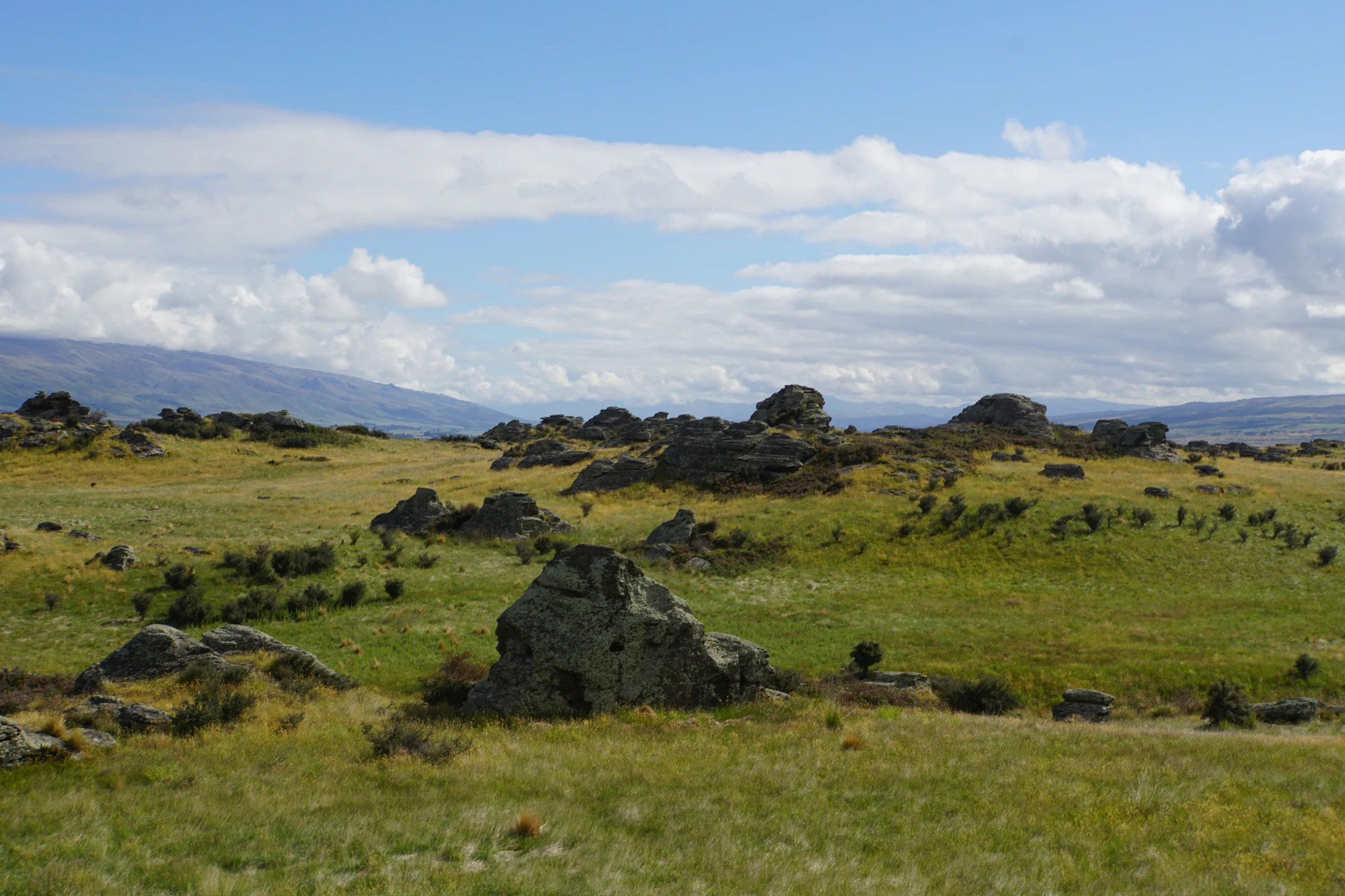 dry field rocks 134 — Descargar