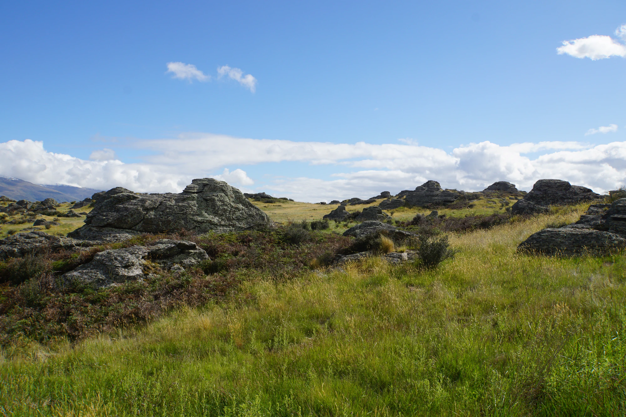dry field rocks 137 — Скачать