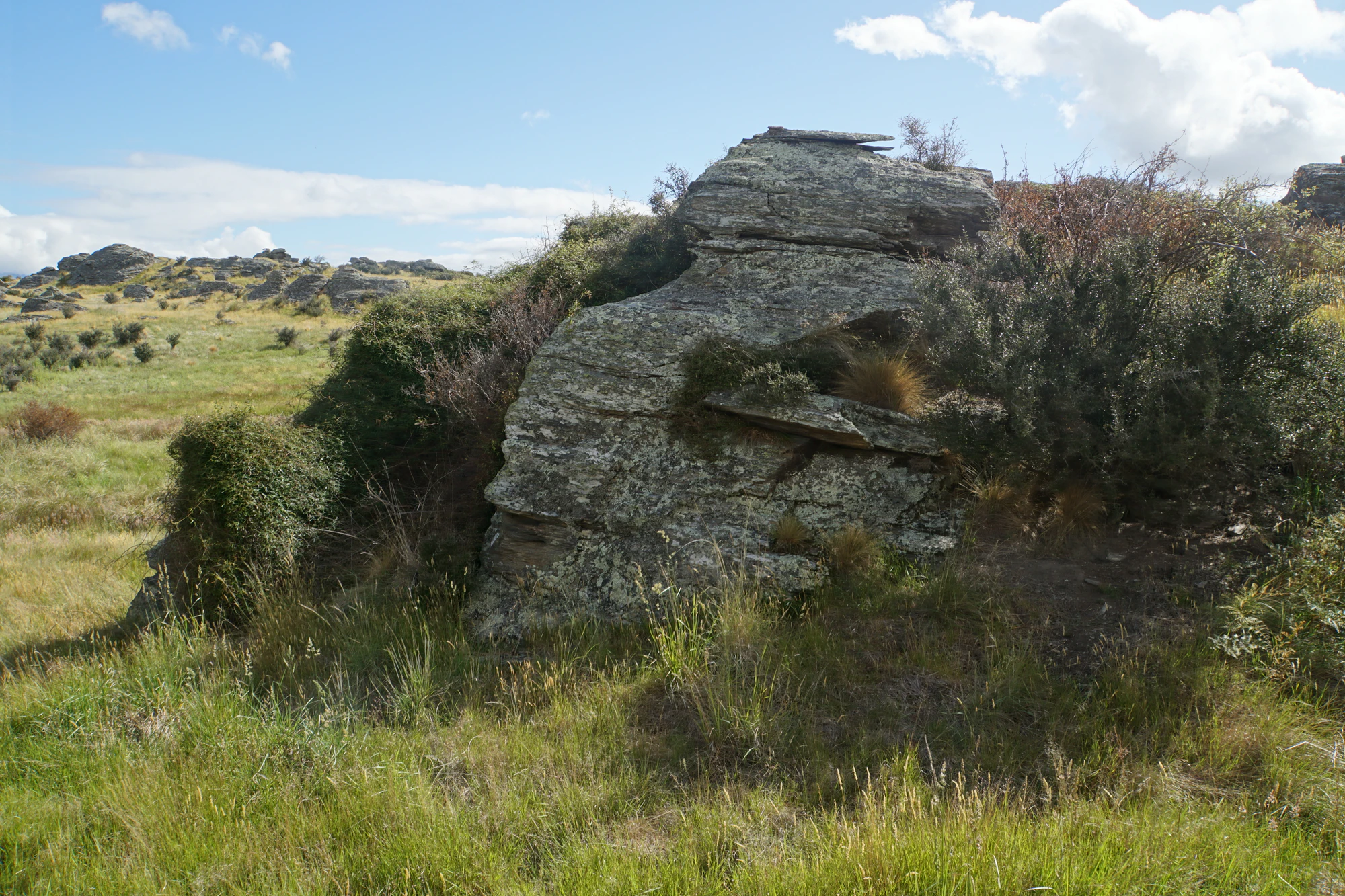 dry field rocks 139 — Descargar