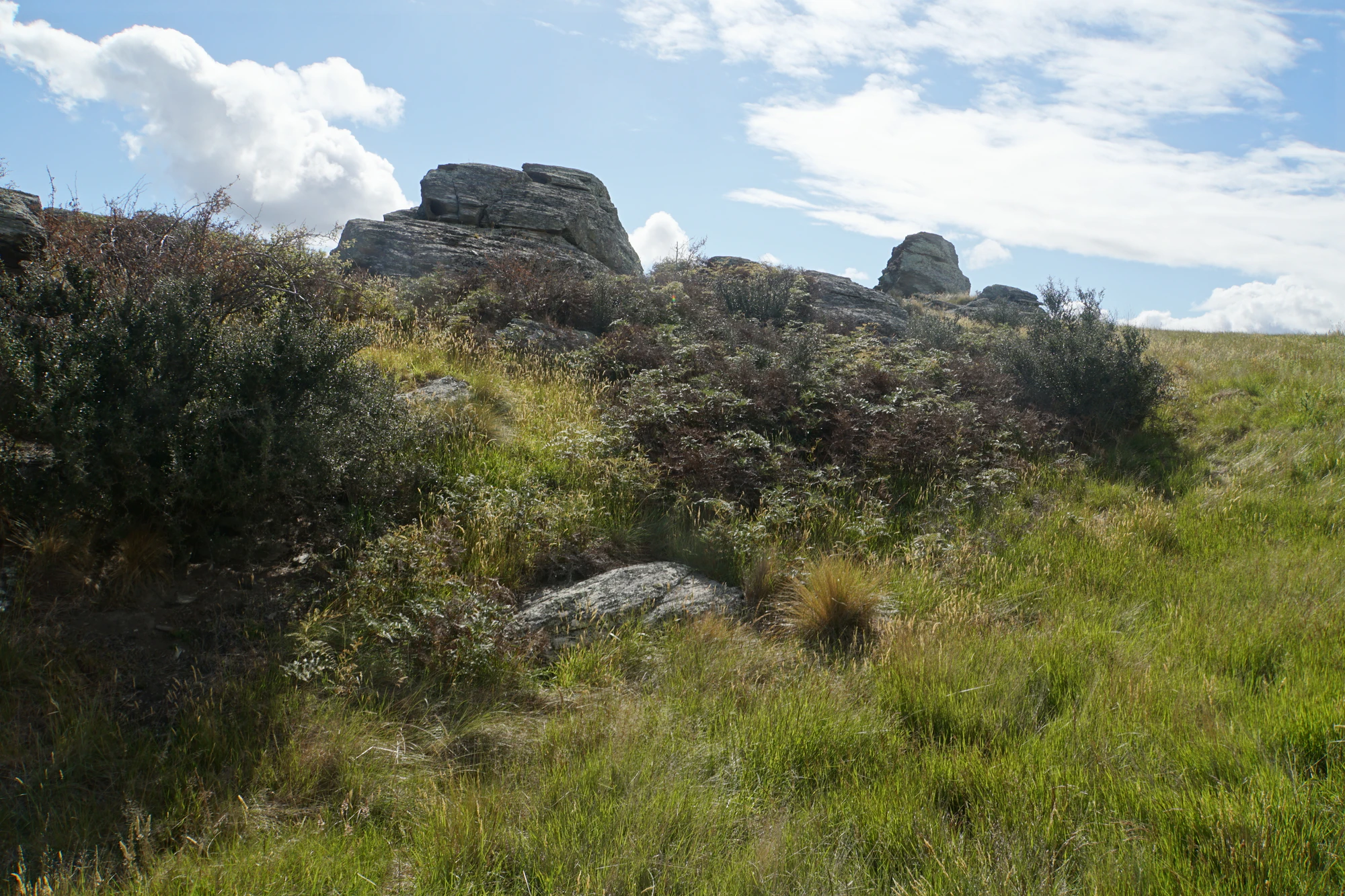 dry field rocks 140 — Descargar