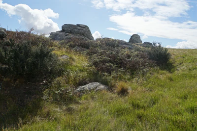 dry field rocks 140 — Descargar