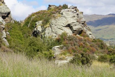 dry field rocks 142 — Descargar