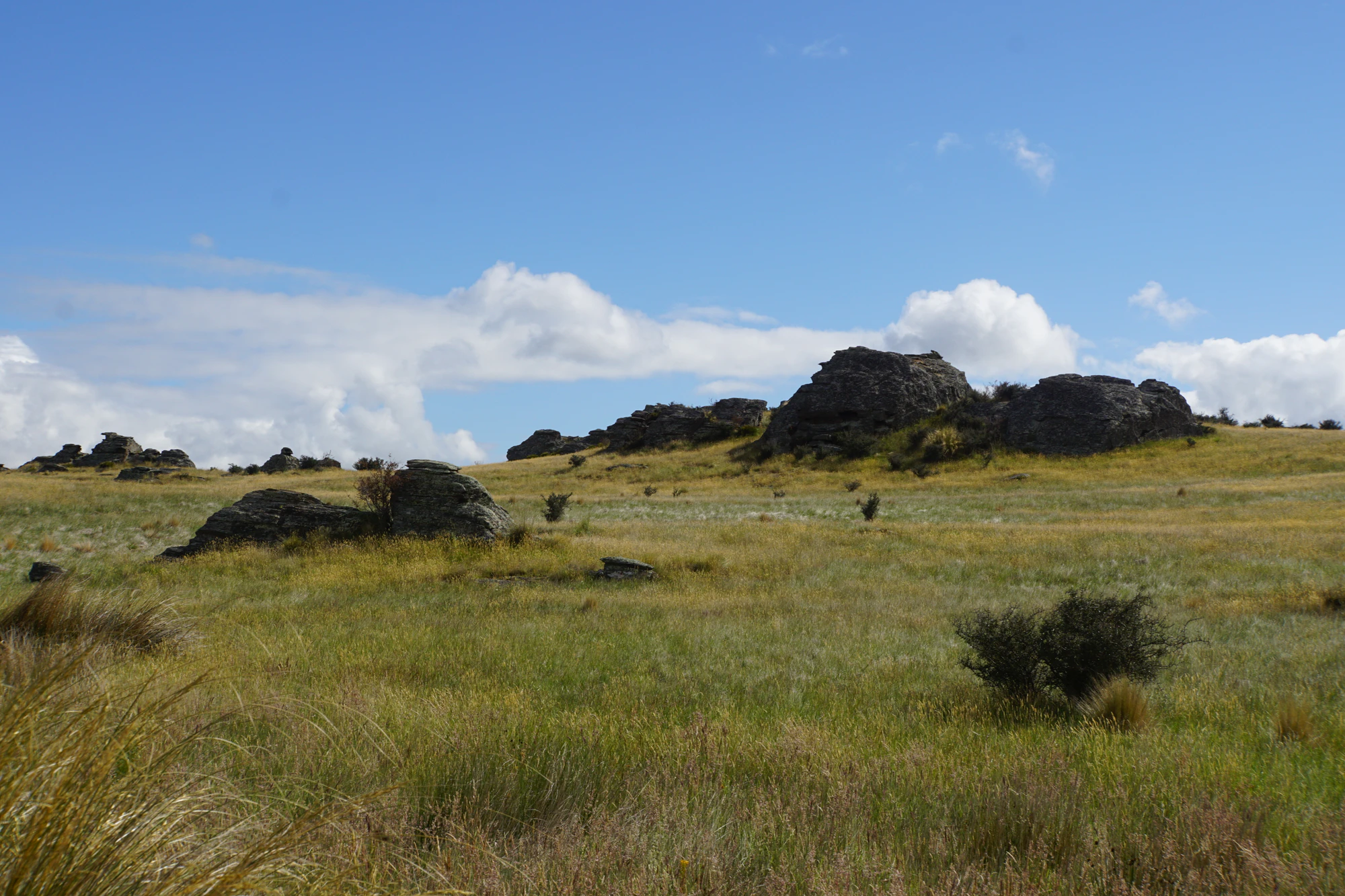 dry field rocks 149 — Descargar