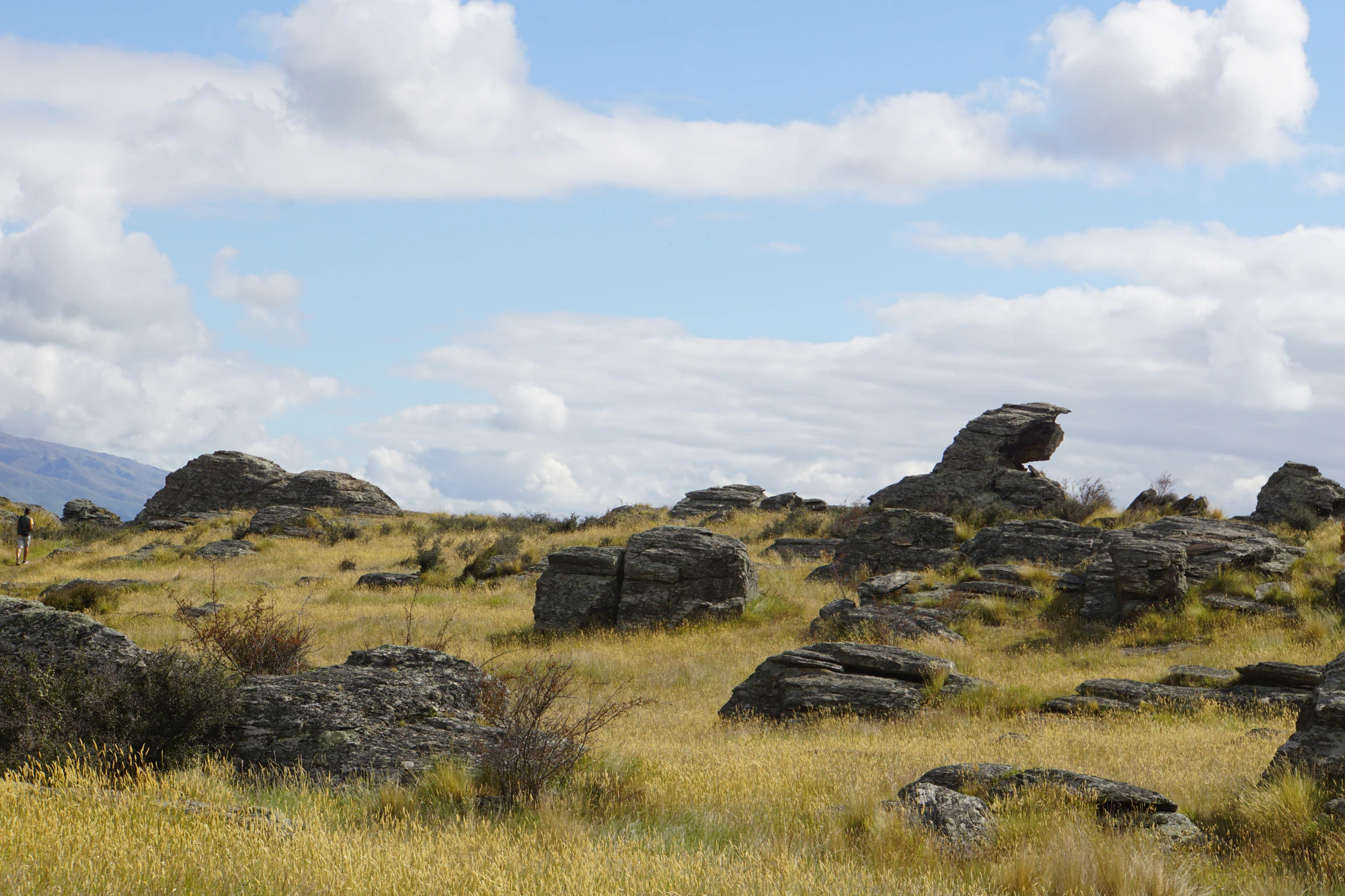 dry field rocks 153 — Скачать