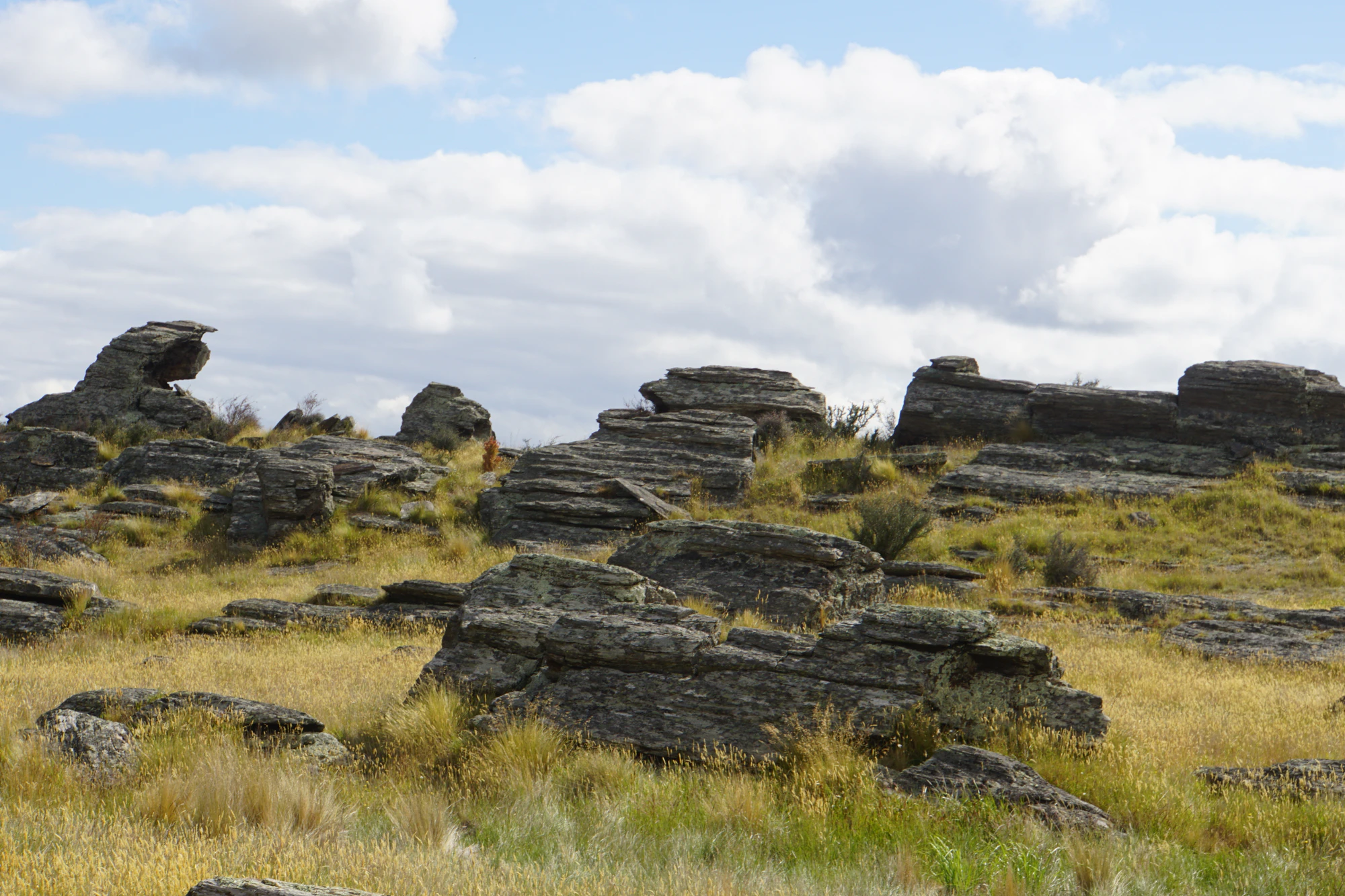dry field rocks 154 — Descargar