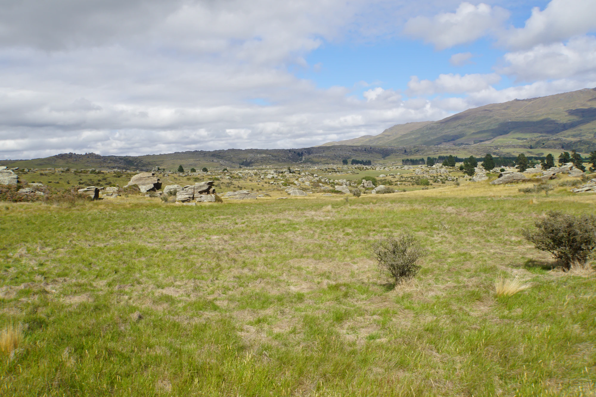 dry field rocks 156 — Descargar
