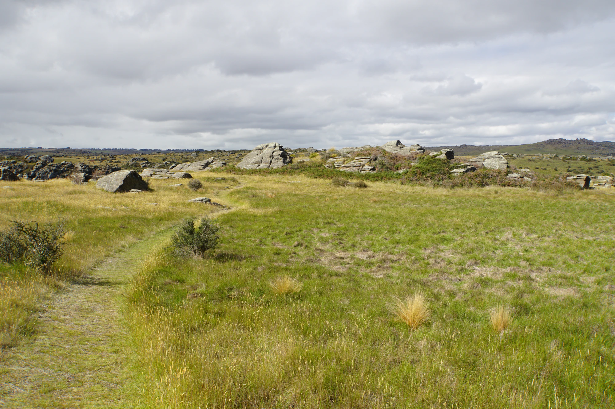 dry field rocks 157 — Descargar