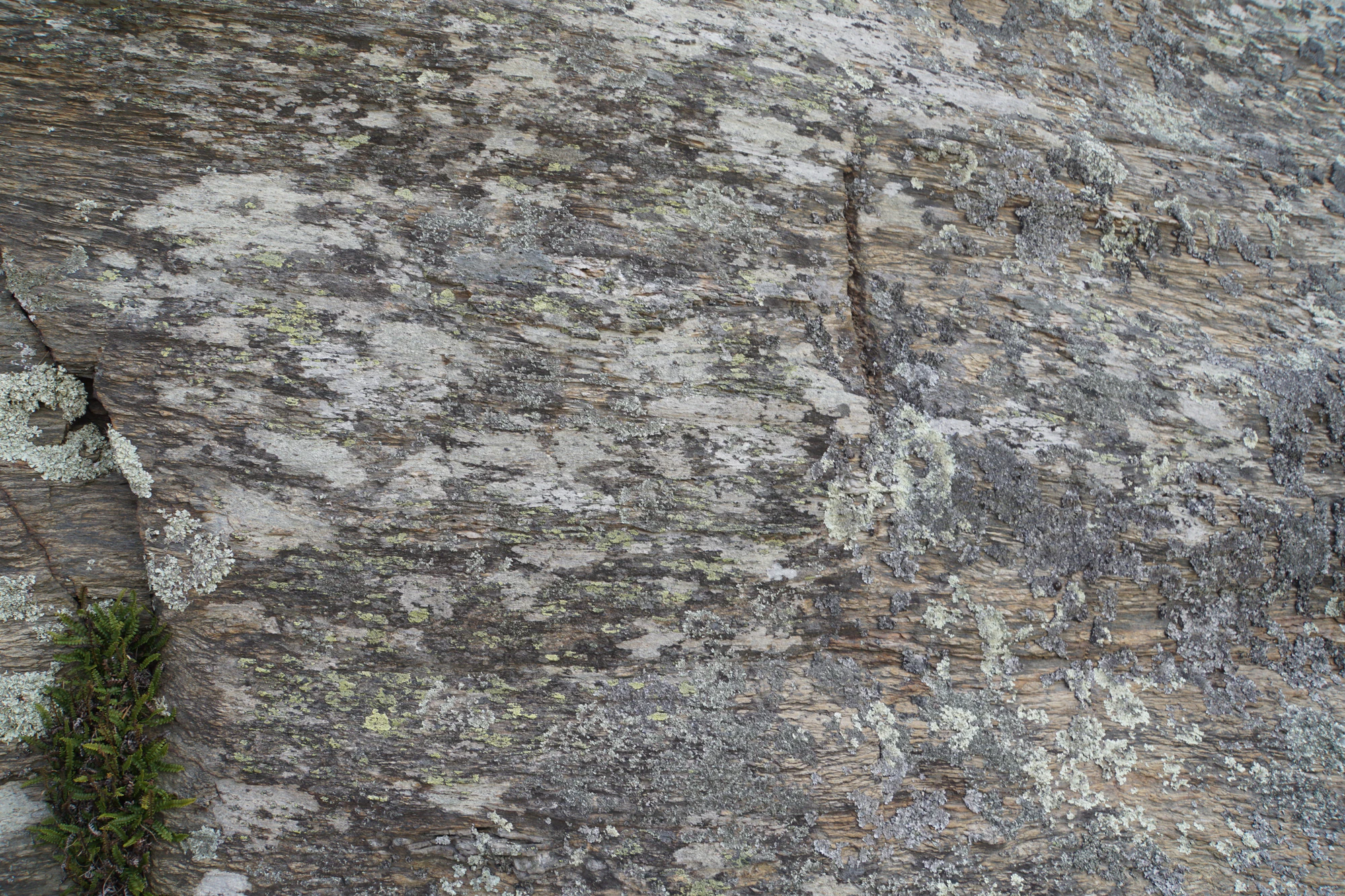 dry field rocks 158 — Скачать