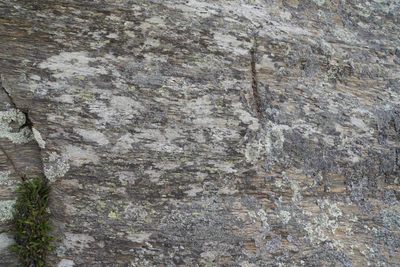 dry field rocks 158 — download