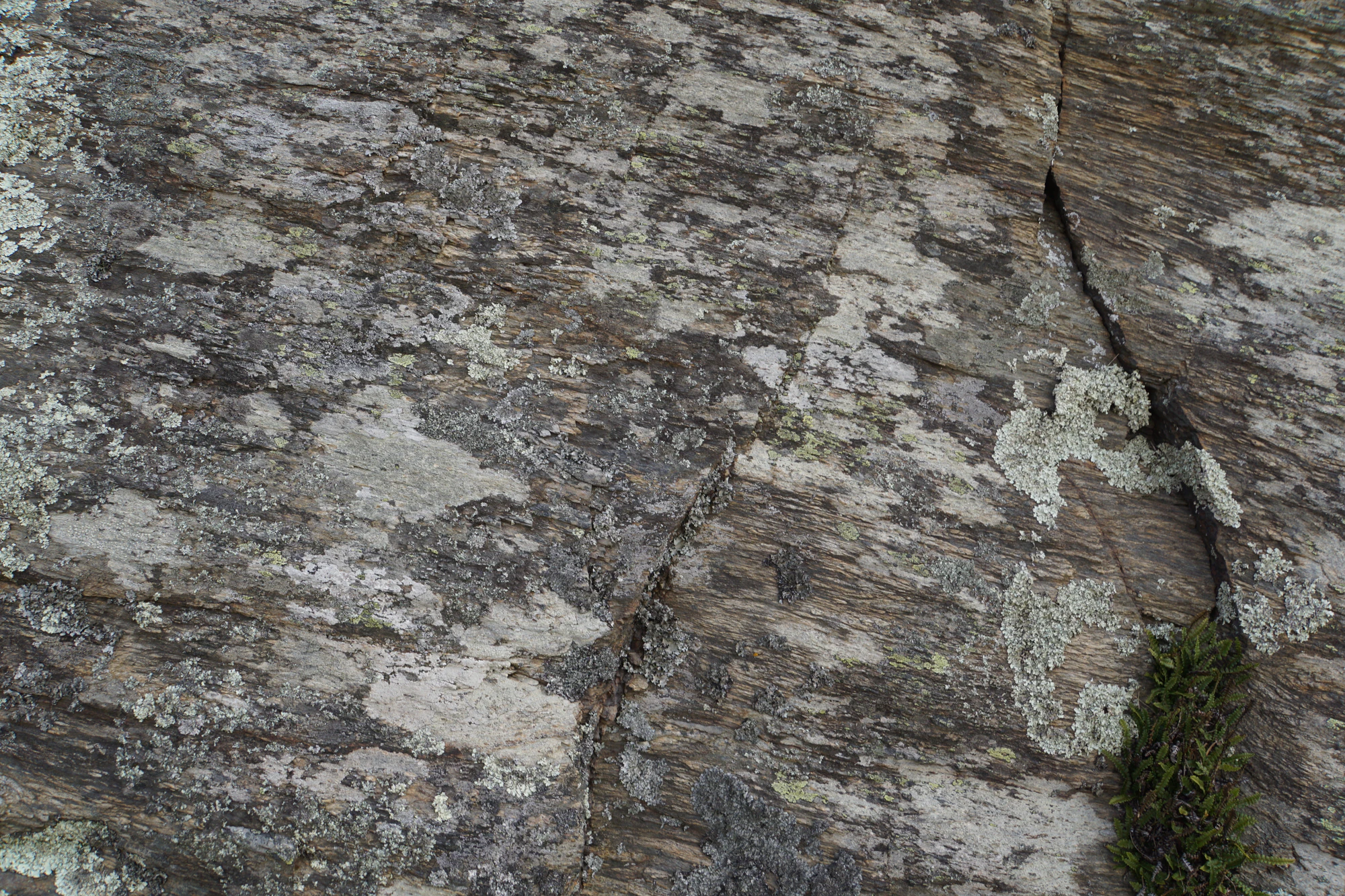 dry field rocks 159 — Descargar