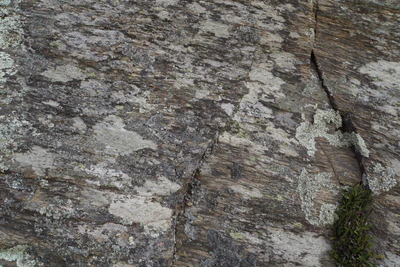 dry field rocks 159 — download