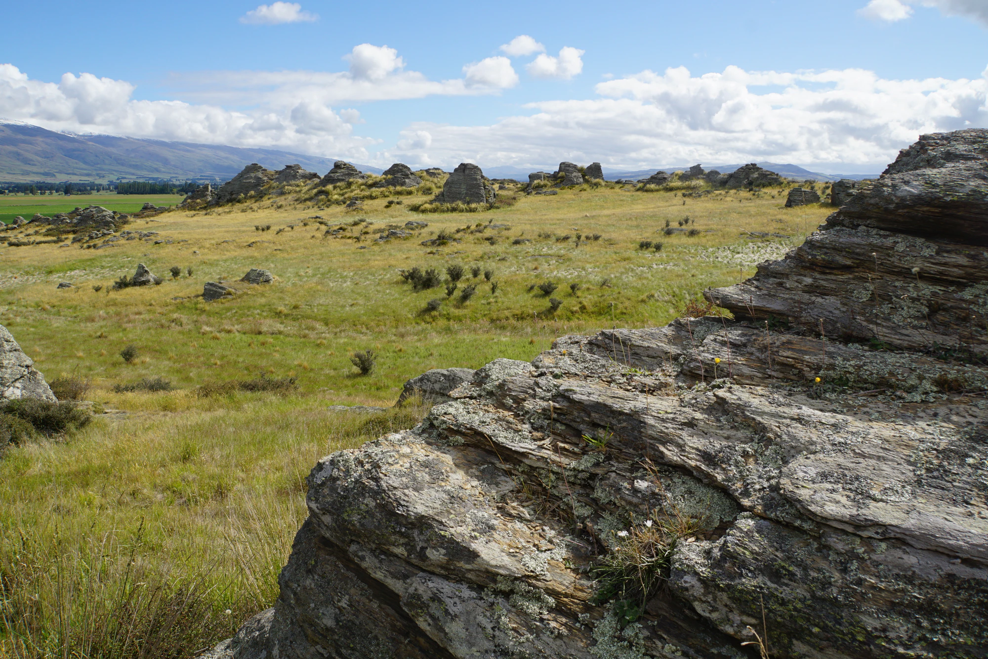 dry field rocks 160 — Скачать